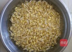 豆芽炒肉的做法图解1