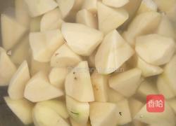 铁锅炖大鹅的做法图解2