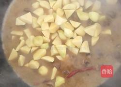 铁锅炖大鹅的做法图解9