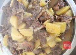 铁锅炖大鹅的做法图解13
