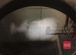 原味贝果的做法图解7