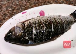 牛肉酱焖鲫鱼的做法图解3