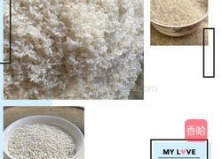 大米肉粽子的做法图解5