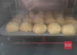 椰蓉豆沙包的做法图解8