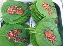 食材菜谱图