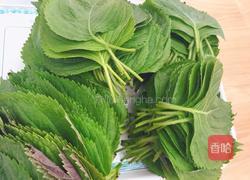 苏子叶咸菜的做法图解1