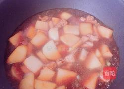 土豆粉条炖肉的做法图解8