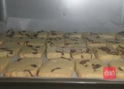 蔓越莓饼干的做法图解16