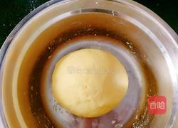 一束黄花的做法图解7