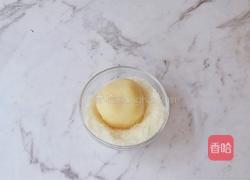 橘子糯米糍的做法图解10