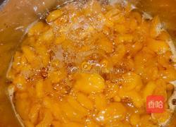 纯手工川贝枇杷膏的做法图解5