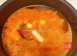 西红柿炖牛腩的做法图解7