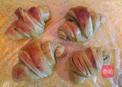 绿茶味可颂的做法图解12