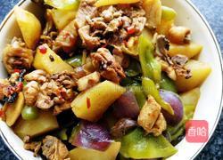 家常大盘鸡的做法图解11