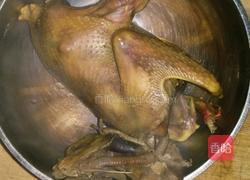 卤鸽子的做法图解4