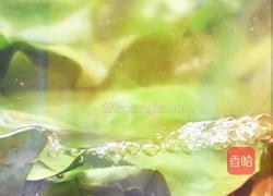 胡萝卜菠菜蛋饼的做法图解2