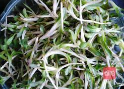 凉拌甜韭菜之生机盎然的做法图解1