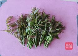 炸香椿鱼儿的做法图解1