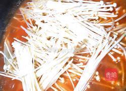 番茄小鱼的做法图解8