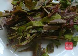 炸香椿芽的做法图解1