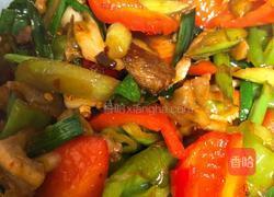 辣炒回锅肉的做法图解13
