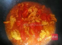 西红柿鸡蛋的做法图解10