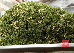 蒸槐花的做法图解1