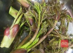 火腿炒刺老芽的做法图解1