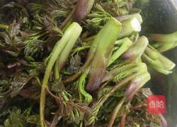 火腿炒刺老芽的做法图解2