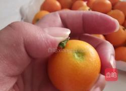  冰糖金橘的做法图解1