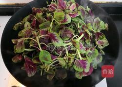 蒜香虾皮红苋的做法图解8
