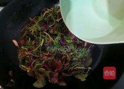 蒜香虾皮红苋的做法图解10
