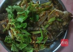 红烧罗非鱼的做法图解7