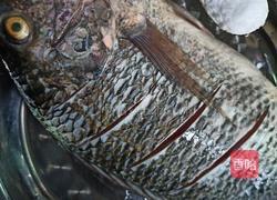 红烧罗非鱼的做法图解3