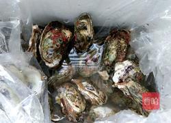 超级简单的烤生蚝（烤箱版）的做法图解1