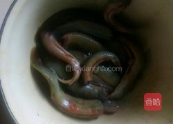 一盆河鲜的做法图解1