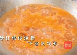 西红柿烧豆腐的做法图解4