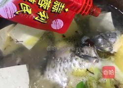 海带豆腐煲鲫鱼的做法图解5