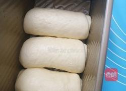 原味吐司面包的做法图解9
