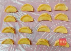 三文鱼胡萝卜水饺的做法图解19