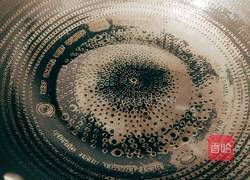 番茄炖甜瓜的做法图解5