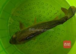 酸菜鱼的做法图解1