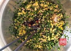 韭菜鸡蛋饺子的做法图解13