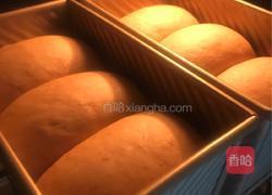 低卡减脂红糖藜麦全麦吐司的做法图解10