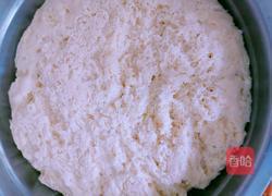 馒头➕花卷的做法图解7