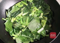 油菜虾皮的做法图解3