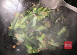 油菜虾皮的做法图解7