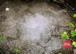 丝瓜鲜贝汤的做法图解4