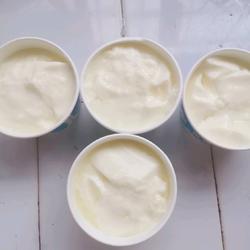 纯手工自制酸奶的做法[图]