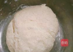 白白胖胖馒头（新手请进）的做法图解3